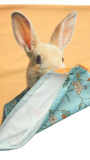 Kissenhülle "Mr. Rabbit"