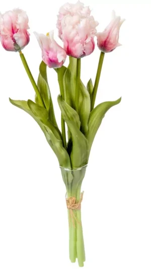 Realistische Papageientulpen