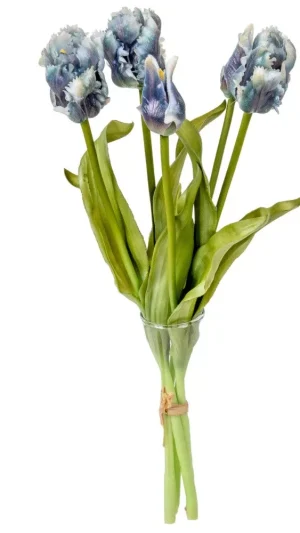 Realistische Papageientulpen