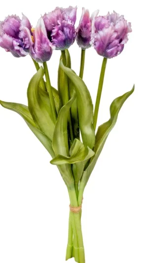 Realistische Papageientulpen